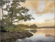  ??  ?? Morning clouds are bathed in a warm glow at Watch Rock Preserve in Old Lyme, in a photograph by Peter Wnek.