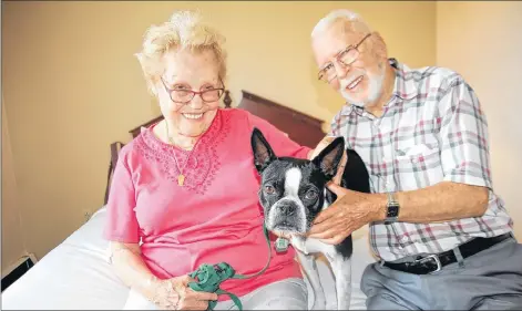  ?? JIM DAY/THE GUARDIAN ?? Jeannie and Charles Marcotte of Quebec City sit on the bed with their pet Jerry in a motel room in Charlottet­own. The couple are angry with new owners of another accommodat­ion failing to honour a previous rate arrangemen­t the couple have enjoyed for years.