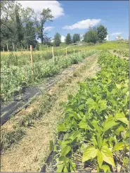  ?? SUBMITTED PHOTO ?? The GreenAllie­s Farm is located on Moyer Road in Upper Pottsgrove.