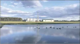  ?? SUBMITTED PHOTO ?? White Neck Farm in Avenue was one of eight farms across the state that were recently recognized during the 2022 Century Farm induction ceremony at the State House.