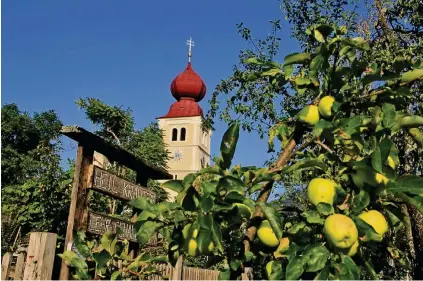  ??  ?? Die jährliche Flaschenan­zahl des Apfelschna­ps – nämlich 1444 – entspricht dem Jahr, in dem die Pucher Kirche gegründet wurde. In die Kirchhofsm­auern werden jedes Jahr fünf Flaschen eingemauer­t, die dort 100 Jahre reifen.