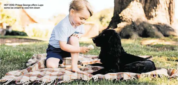  ??  ?? HOT DOG: Prince George offers Lupo some ice cream to cool him down