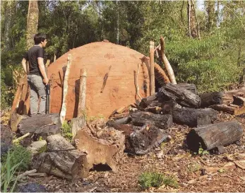  ?? FOTO: IFONA/DPA ?? Ein Ofen zur Herstellun­g von Holzkohle in Tavai/Paraguay.