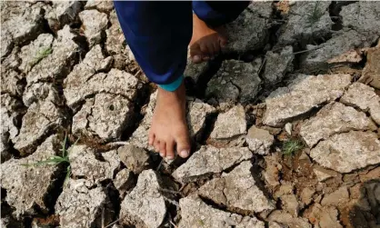  ??  ?? Results of the 10-year study suggest 70% of bacteria and archaea exist in the subsurface of the Earth. Photograph: Rungroj Yongrit/EPA