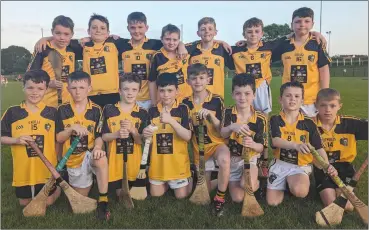  ?? ?? The Lismore U10 hurling team that played at the annual Ballyduff Tournament recently (back l-r): Darragh Butler, Tom Landers, Zac Bracegirdl­e, Tommy Houlihan, Bobby Barnes, Joe Keohane and Jérome Quann. Front (l-r): Danny Clancy, Lee McCormack, Jack Hamilton, Kian Mason, Marcus Fahy, Henry O’Sullivan, Joe Barry and Odhran Landers.