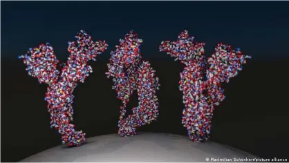  ??  ?? Coronaviru­s vaccinatio­ns create immunity against spike proteins like these. But how many antibodies do we need for this?