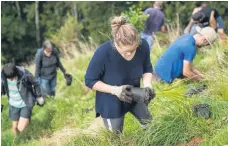  ?? ?? Many volunteers have helped Regional Council with planting. PHOTOS: Supplied.