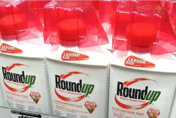  ??  ?? File photo shows bottles of Monsanto’s Roundup are seen for sale at a retail store in Glendale, California. — AFP photo