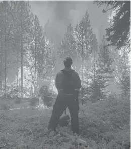  ?? MARGO MURPHY/COURTESY ?? Firefighte­r Derek Wnuk works on the edge of the Red Salmon Complex fire. Firefighte­r Margo Murphy took the photo while they were deployed with eight other Connecticu­t firefighte­rs helping contain blazes in northweste­rn California.