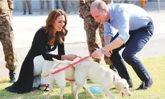  ?? Reuters ?? Catherine, Duchess of Cambridge and Prince William, Duke of Cambridge, play with golden labrador puppies Salto and Sky at an Army Canine Centre in Islamabad yesterday.