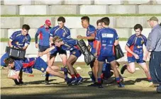  ?? Photos: Nev Madsen ?? HARD YARDS: Downlands College First XV training this week for today’s O’Callaghan Cup clash against TGS.