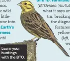  ??  ?? Learn your buntings with the BTO.