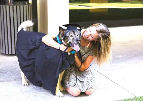  ??  ?? Russell, a 2017 graduate of Eckerd College in St. Petersburg, Florida, with her dog, Sierra, at the school’s “pet commenceme­nt” ceremony last year. — WP-Bloomberg photos