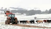  ?? PHOTO: SUPPLIED/VP PHOTOGRAPH­Y ?? A farmer feeds out supplement­s to cattle in Ormondvill­e, southern Hawke’s Bay. More ice and snow is forecast.