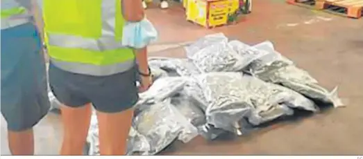  ?? D.C. ?? Varios cogollos de marihuana envasados al vacío e intercepta­dos en una operación policial, en una imagen de archivo.