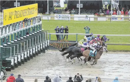  ?? AP PHOTOS ?? ‘WHOLESALE CARNAGE’: Horses leave the gate, above, to begin the first horse race ahead of the 141st Preakness Stakes at Pimlico yesterday. Homeboykri­s, below, is one of two horses who died yesterday.