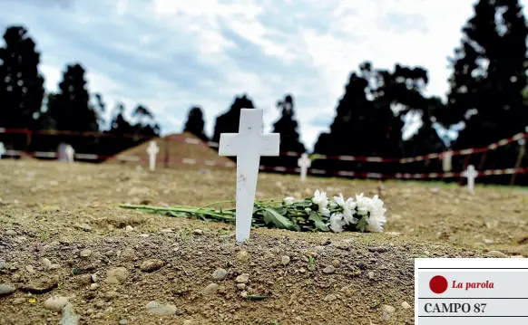 ??  ?? Al Musocco Una croce bianca senza nome, un mazzo di fiori: ecco una delle sepolture dei «senza famiglia» al campo 87 del cimitero Maggiore