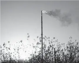  ?? JESSICA LUTZ/THE NEW YORK TIMES 2020 ?? Natural gas flares at a facility near Coyanosa, Texas . After hitting their highest levels since 2014, natural gas prices have tumbled recently.