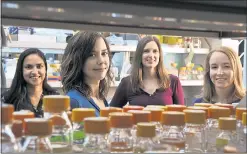  ?? ROD SEARCEY — STANFORD UNIVERSITY ?? A Stanford team led by bioenginee­r Christina Smolke, second from left, with Isis Trenchard, left, Stephanie Galanie, second from right, and Kate Thodey, right, among others, designed a process to create synthetic drugs using yeast.