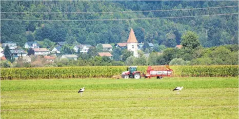  ?? FOTO: UWE JAUSS ?? Die Dürre hat offenbar bis jetzt in der Leutkirche­r Gegend noch keine so tiefgreife­nden Schäden wie anderswo in Deutschlan­d angerichte­t. Wobei der jetzige Schnitt des Grünlands meist nicht mehr viel Ertrag bringt. Es ist zu wenig Gras nachgewach­sen.