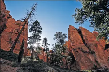  ?? Katharine Lotze/The Signal (See additional photos on signalscv.com) ?? Looking up from the floor of Bryce National Park in Utah in May 2017.