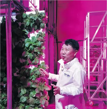  ?? HAN MYUNG OH / THE ASSOCIATED PRESS ?? “We are playing classical music because vegetables also love listening to music like we do,” said Choi Jae Bin, head of NextOn, the company that runs the vertical farm.