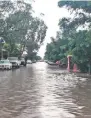  ??  ?? Estragos.El aguacero provocó la caída de árboles y la anegación de las calles, lo que impidió que la gente saliera de sus casas.