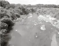  ?? ONELIO DOMÍNGUEZ/LISTÍN DIARIO ?? Contaminac­ión. Vista de un tramo de agua del río Yaque del Norte con cúmulos de basura y otro tipo de desechos en su cauce.