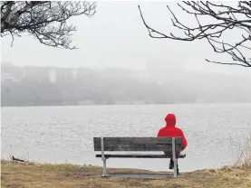  ?? ANDREW WATERMAN • THE TELEGRAM ?? A walker takes a short break on the trail surroundin­g Quidi Vidi Lake. For several weeks, a weather system called an ‘Omega Block’ sent most of the Avalon rain, drizzle and fog.