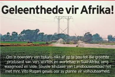  ?? FOTO’S: MARIEKE SNYMAN ?? Greenway Farms lewer tot 200 ton wortels per dag en is die grootste enkele produsent van dié gewas in Suid-Afrika.