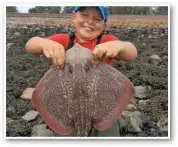  ??  ?? Eight-year-oldKye Lewis, of Newport, South Wales, caught a codling and thornback ray while fishing a neap tide at nearby Goldcliff. He used a long pulley-dropper rig baited with ragworms and bluey and squid wraps.