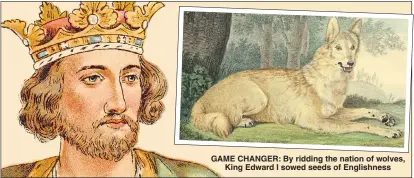  ??  ?? GAME CHANGER: By ridding the nation of wolves, King Edward I sowed seeds of Englishnes­s