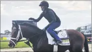  ?? STEPHEN WHYNO — THE ASSOCIATED PRESS ?? In this image taken from video, Preakness contender Art Collector, ridden by exercise rider Annie Finney, walks on the track at Pimlico Race Course on Thursday Baltimore.