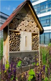  ?? ?? An insect hotel
Pic: Alamy/PA