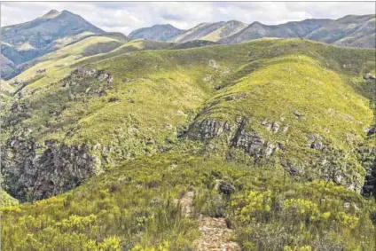  ?? Photo: Matthew de Lange ?? The Groendal Nature Reserve, close to the Baviaanskl­oof world heritage site in the Eastern Cape, is home to the martial eagle, black harrier and Verreaux’s eagle, which are all at risk of extinction.