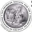  ??  ?? TOP: The ASPCA’s official seal, which according to the organizati­on’s website, “depicts an angel of mercy protecting a fallen carthorse from a spoke-wielding abuser . ... In 1867, the ASPCA operated the first ambulance for injured horses, a full two...
