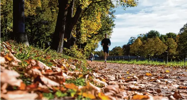  ?? Foto: Hoppe/dpa ?? Mit der App „Pacer“könnt ihr euch mit Freunden zum Beispiel zum Joggen verabreden. Wer noch keinen Trainingsp­artner hat, kann in der App auch nach anderen Freizeitsp­ortlern suchen.