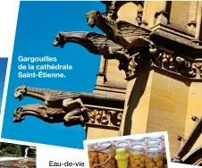  ??  ?? Gargouille­s de la cathédrale Saint-Étienne.