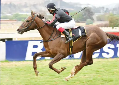  ?? Picture: JC Photograph­ics ?? VALUE. Plum Field, the mount of Rab Havlin in Race 6 at Turffontei­n today, was priced up at 8-1 which Muzi Yeni believes is excellent value.