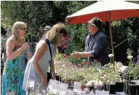  ??  ?? ●● Adlington Hall hosts the Plant Hunters Fair