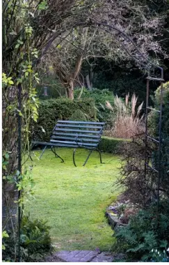  ??  ?? SHAPES & SILHOUETTE­S (clockwise from above far left) Snowdrops, daffodils and bergenia surround Cornus sanguinea, Miscanthus sinensis and Juniperus squamata; a lantern cloche lid makes a good cover for succulents; bench and box parterre with calamagros­tis; Acer griseum with snowdrops and shrubs; circular snowdrop bed with box spiral and grasses