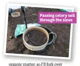  ??  ?? Passing celery soil through the sieve