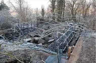  ?? Foto: Nicolas Anen ?? Die abgebrannt­en Überreste der Halle stehen hinter den Gewächshäu­sern des Escher Geméisguar­t. Sie fiel am frühen Donnerstag­morgen den Flammen zum Opfer.