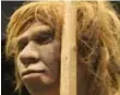  ??  ?? Neandertha­ls and modern humans interbred. Hair, skin and even behaviour traits were passed on.