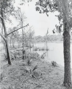  ?? Houston Chronicle file photo ?? Armand Bayou, as seen in April 1972, was named in memory of Armand Yramategui, a naturalist and curator of Burke Baker Planetariu­m who was murdered in 1970.