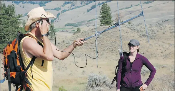 ?? — PHOTOS: KARL LARSEN ?? Karl Larsen uses a radio antenna as he and graduate student Jessica Harvey track rattlesnak­e movements.