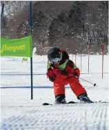  ??  ?? Starting out early at Hakuba’s Evergreen Internatio­nal Ski School. Above: Osaka Aquarium.