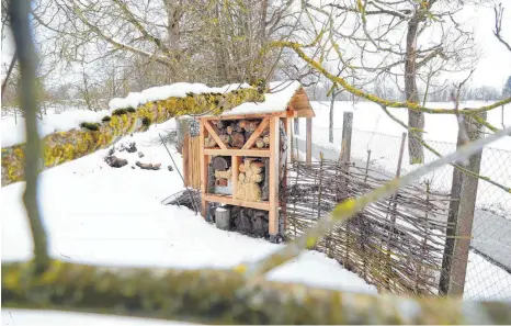  ?? FOTO: ALEXANDER KAYA ?? Bald ein Baugebiet? Der Hermannsga­rten in Söflingen ist eine ehemals städtische Obstplanta­ge, die vom BUND Ulm in den 1990er-Jahren in Obhut genommen wurde. Diese wird nach und nach in eine artenreich­e Streuobstw­iese umgewandel­t.