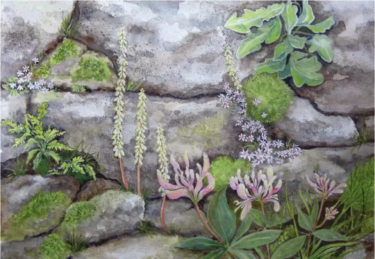  ?? ?? Lynn Parkins Flowers on a Dry-Stone Wall, ▲ acrylic on canvas board, 16x20in. (51x76cm