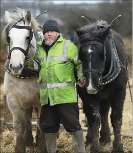  ??  ?? Mossie Trant from Tralee and his mighty workhorses ploughing the land at the Causeway match on Sunday. Photo by Domnick Walsh
